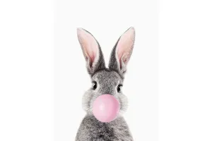 Bubblegum Bunny