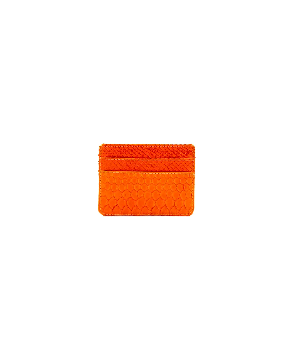 CC Holder in Tangerine