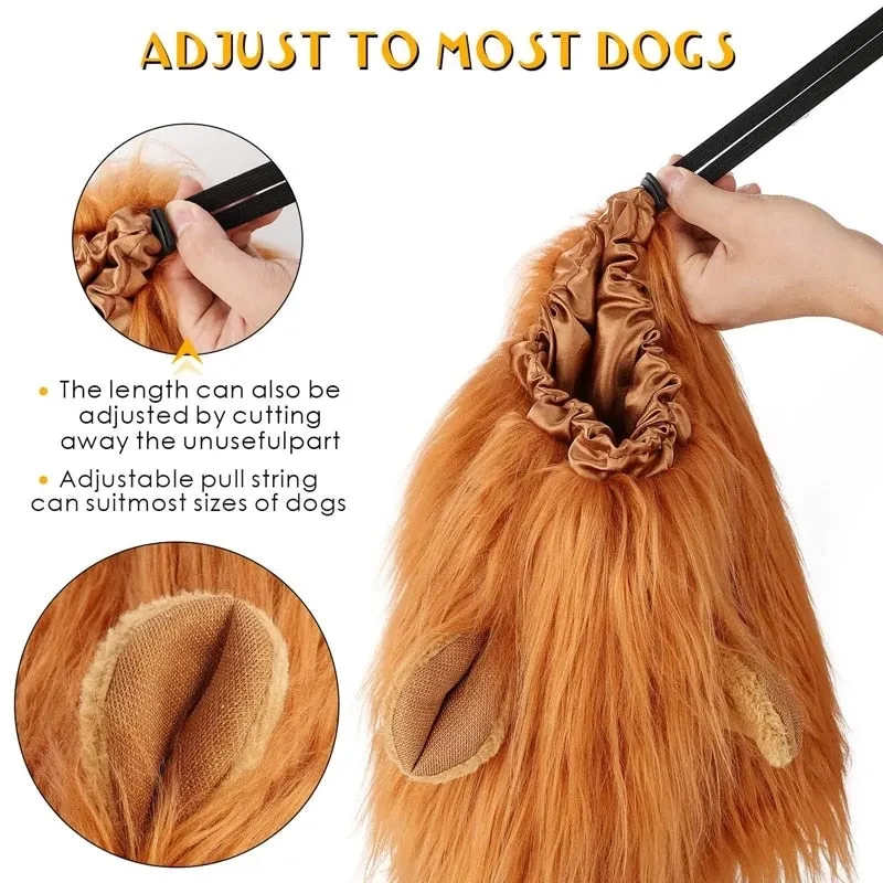 Dach Everywhere™ Lion Mane Dog Costume