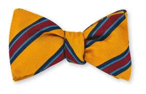 Gold Vista Stripes Bow Tie - B5317